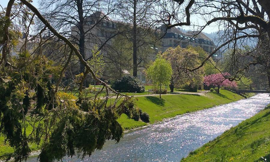 Baden-Badenspaapartment エクステリア 写真